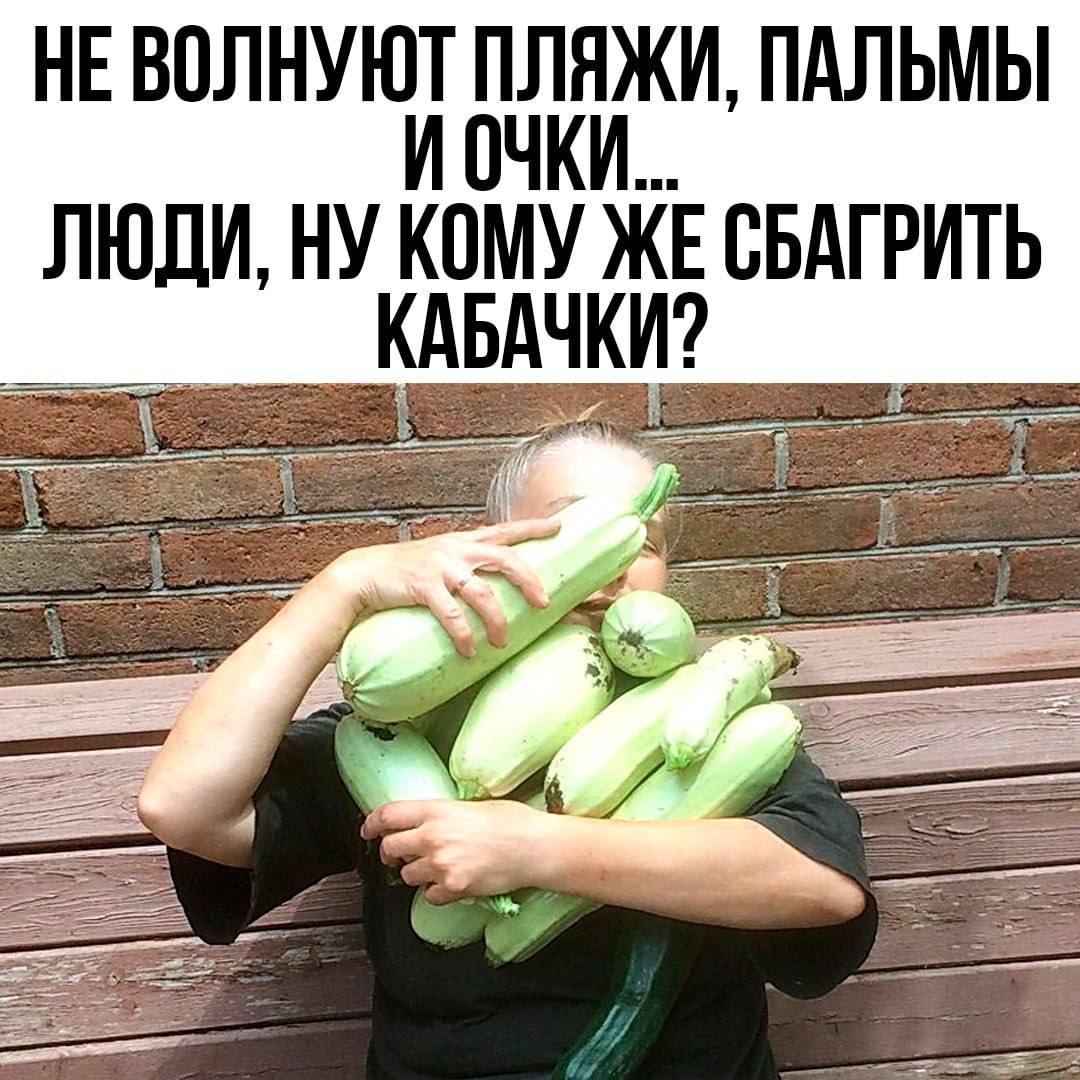 НЕ вплнуюя жжи ПАЛЬМЫ ЛЮДИ НУ КОМУ ЖЕ СБАГРИТЬ КАБАЧКИ