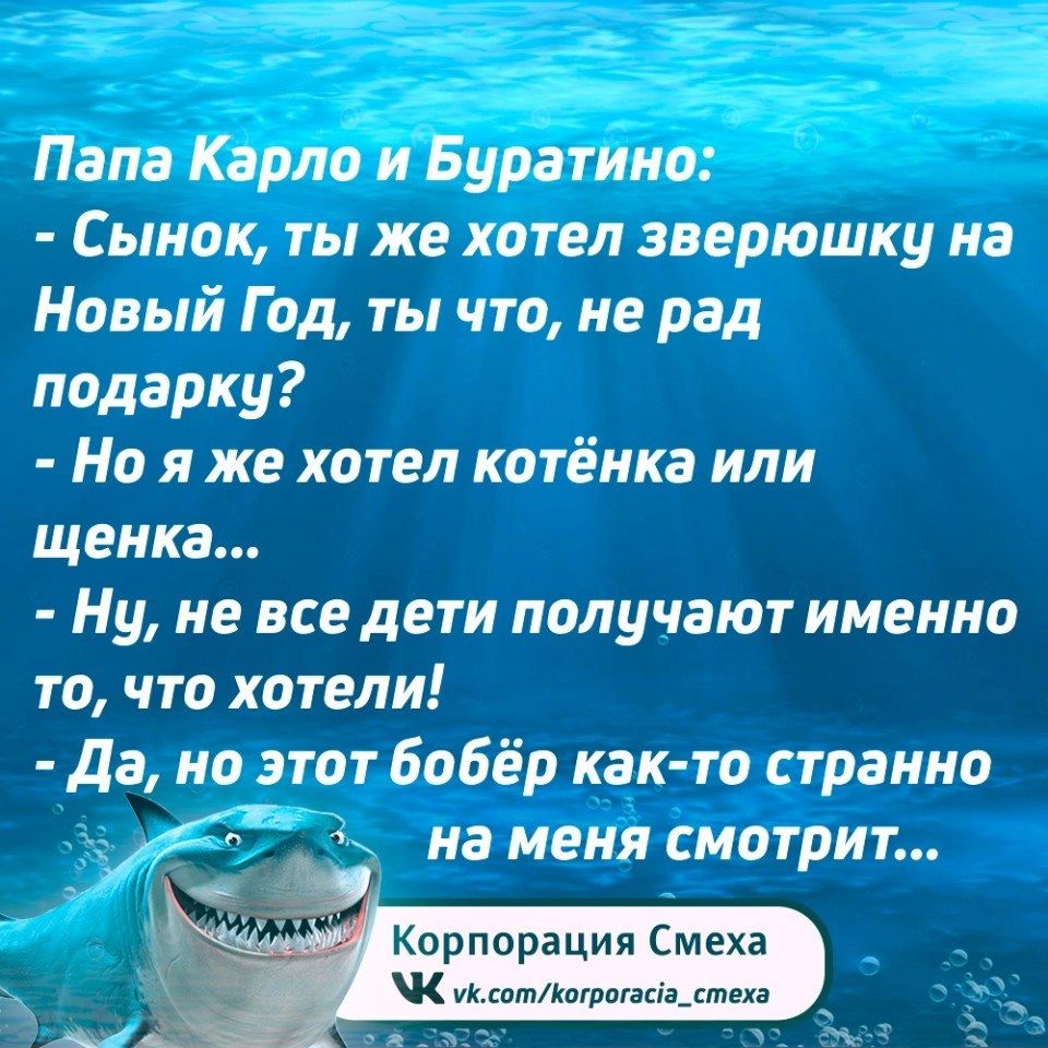 Папа Карло и Буратино Сынок ты же хотел зверюшку на Новый Год ты что не рад подарку Но я же хотел котёнка или щенка Ну не все дети получают именно то что хотели Да но этот бобёр как то странно йс на меня смотрит Корпорация Смеха К иксоткогрогасэ_стеха