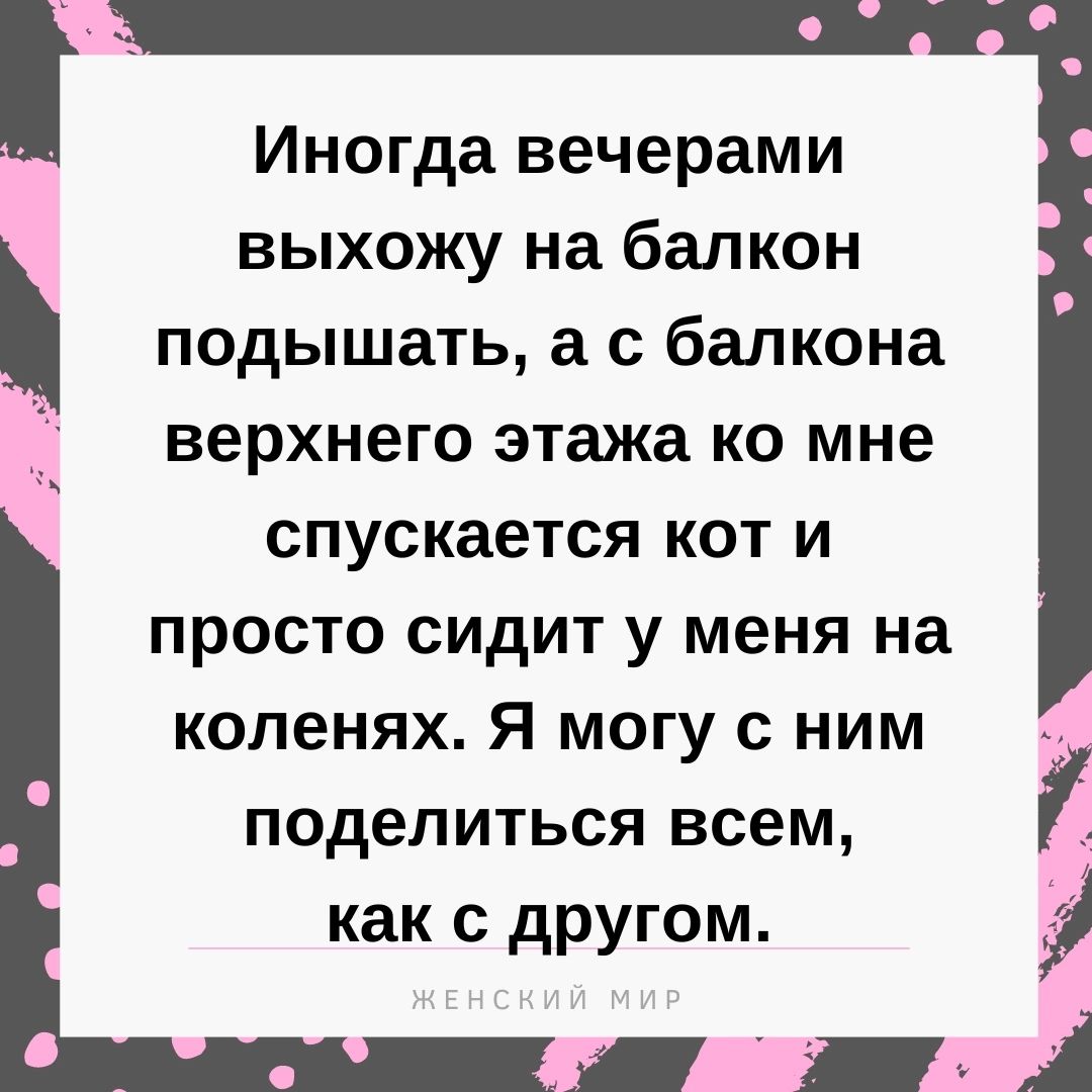 Иногда вечерами выхожу на балкон _ подышать а с балкона верхнего этажа ко мне спускается кот и просто сидит у меня на коленях Я могу с ним поделиться всем как с другом