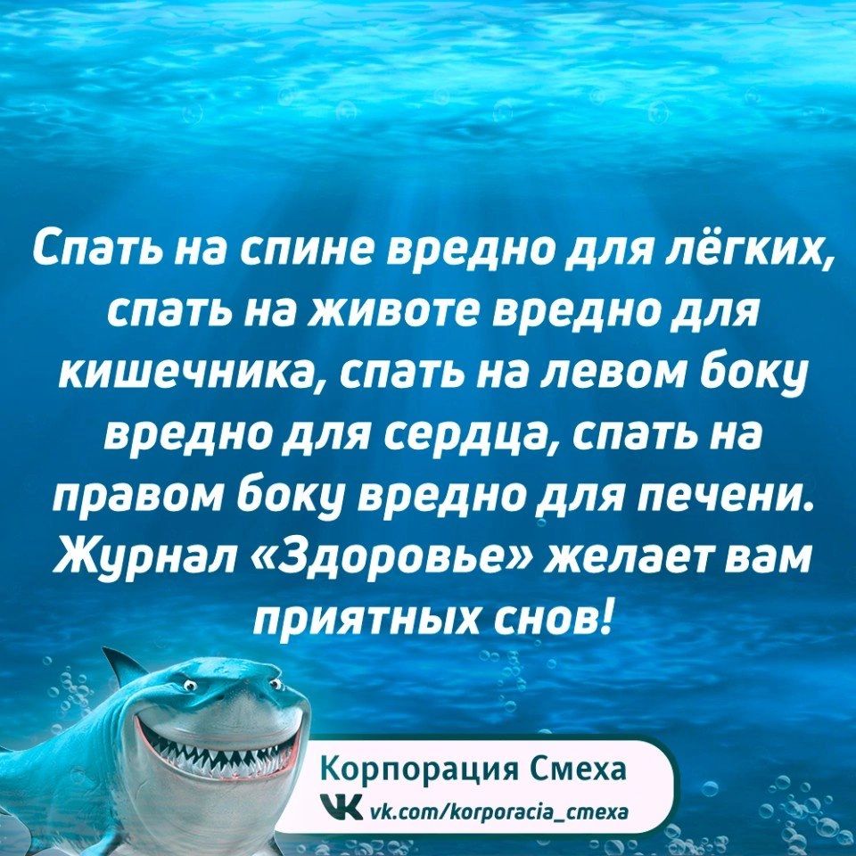 Спать на спине вредно для лёгких спать на животе вредно для кишечника спать на левом боку вредно для сердца спать на правом боку вредно для печени Журнал Здоровье желает вам приятных снов р ож З р Корпорация Смеха К оксоткогрогасо_стеха