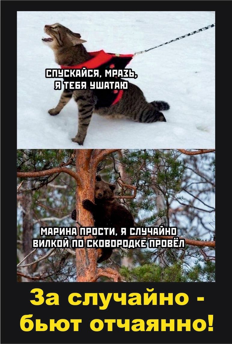 СПУСКАЙСЯ МРАЗЬ