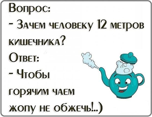 Вопрос ЗАЧЕМ ЧЕЛОВЕКУ 12 мЕТрОВ КИШЕЧНИКА Ответ Чтобы горячим ЧАЕМ жопу не обжечы