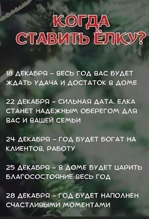 КОГ СТАВИТЬ ЕЛ У 18 ДЕКАБРЯ ВЕСЬ ГОД ВАС БУДЕТ ЖАДАТЬ УДАЧА И ДОСТАТОК В ДОМЕ 22 ДЕКАБРЯ СИЛЬНАЯ ДАТА ЕЛКА СТАНЕТ НАДЕЖНЫМ ОБЕРЕГОМ ДЛЯ ВАС И ВАШЕЙ СЕМБИ 24ч ДЕКАБРЯ ГОД БУДЕТ БОГАТ НА КЛИЕНТОВ РАБОТУ 25 ДЕКАБРЯ В ДОМЕ БУДЕТ ЦАРИТЬ БЛАГОСОСТОЯНИЕ ВЕСЬ ГОД 28 ДЕКАБРЯ ГОД БУДЕТ НАПОЛНЕН СЧАСТЛИВЫМИ МОМЕНТАМИ