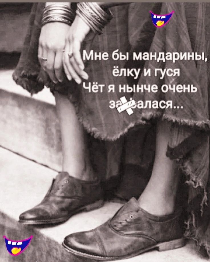 Мне бы мандарины ёлку и гуся Чёт я нынче оЧень л одещвч