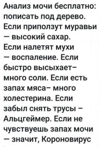 Анализ мочи бесплатно пописать под дерево Если приползут муравьи высокий сахар Если налетят мухи воспаление Если быстро высыхает много соли Если есть запах мяса много холестерина Если забыл снять трусы Альцгеймер Если не чувствуешь запах мочи значит Короновирус