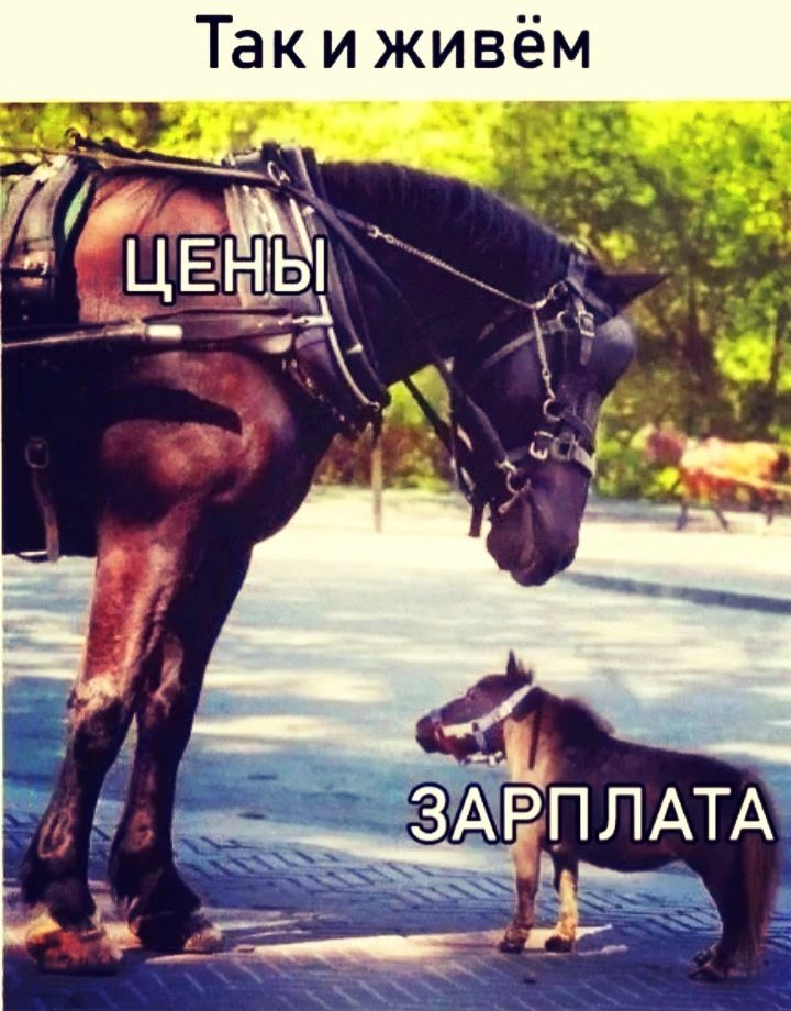 Так и живём _ к с