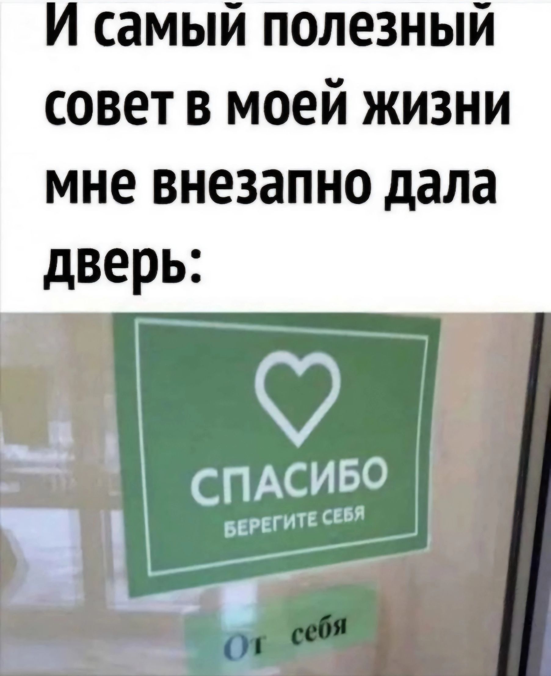 И самый полезный совет в моей жизни мне внезапно дала дверь