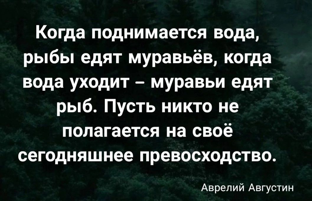 Когда поднимается вода рыбы едят муравьёв когда вода уходит муравьи едят рыб Пусть никто не полагается на своё сегодняшнее превосходство Аврелий Августин