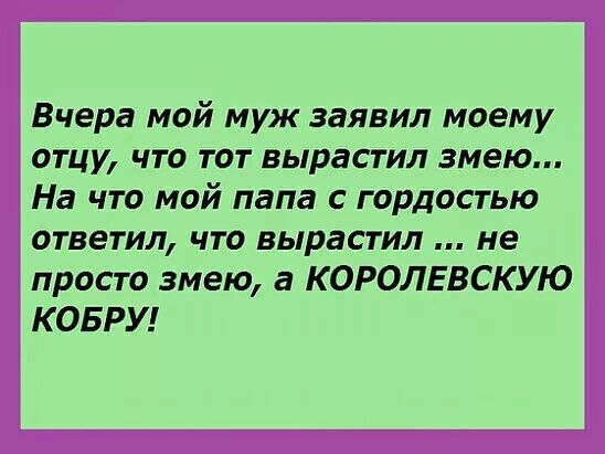 Вчера мой муж заявил моему отцу что тот вырастил змею На что мой папа с гордостью ответил что вырастил не просто змею а КОРОЛЕВСКУЮ КОБРУ