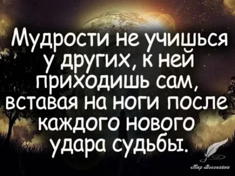 М Е еа дРОСТИ не УЧИШЬСЯ у других к ней приходишь сам вставая на ноги после КОЖДОГО НОВОГО удара судьбы р восонайни