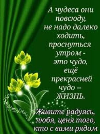 Ачудеса они повсюду не надо далеко ходить проснуться утром это чудо ещё прекрасней чудо е ЖИЗНЬ вите радуясь любя ценя того кто с вами рядом