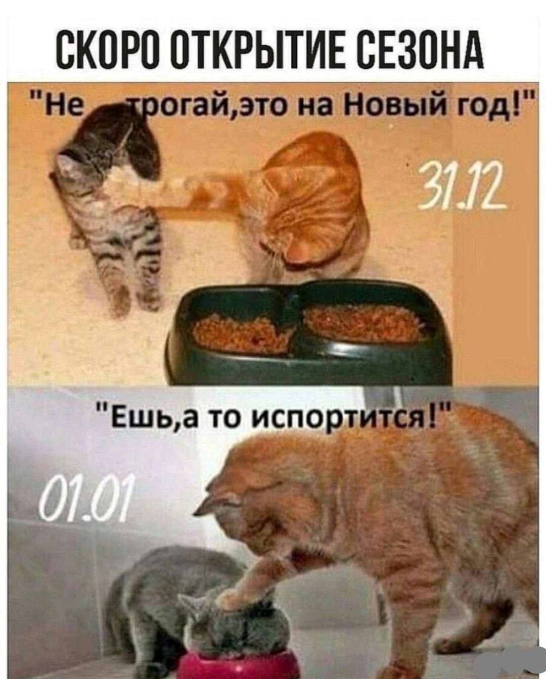 СКОРО ОТКРЫТИЕ СЕЗОНА