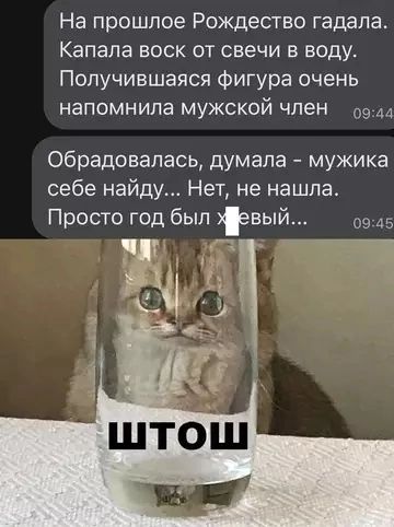 На прошлое Рождество гадала Капала воск от свечи в воду Получившаяся фигура очень напомнила мужской член оолл Обрадовалась думала мужика себе найду Нет не нашла Просто год был евый 0945 УЛВ и