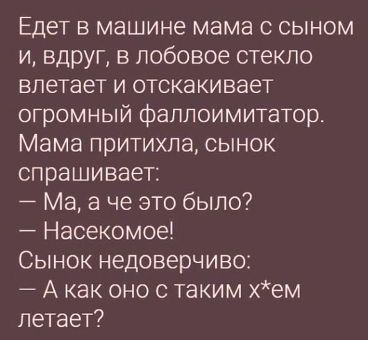 Едет в машине мама с сыном и вдруг в лобовое стекло влетает и отскакивает огромный фаллоимитатор Мама притихла сынок спрашивает Ма а че это было Насекомое Сынок недоверчиво Акак оно с таким хем летает