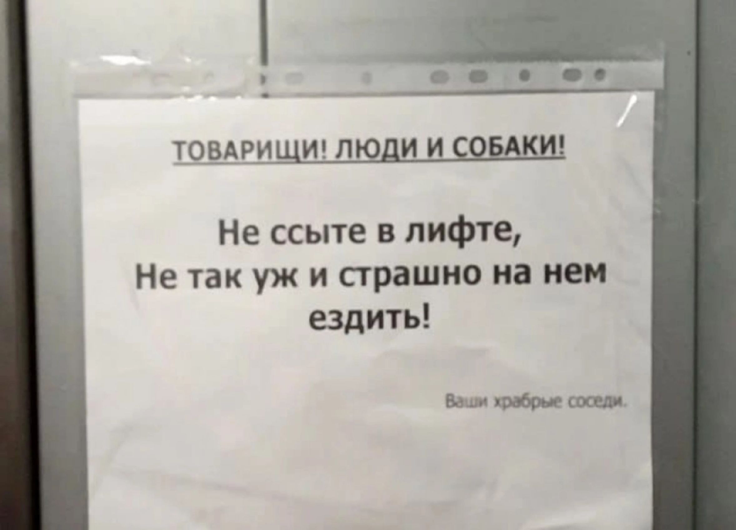 ТОВАРИЩИ ЛЮДИ И СОБАКИ Не ссыте в лифте Не так уж и страшно на нем ездить Воим кробрые соседи