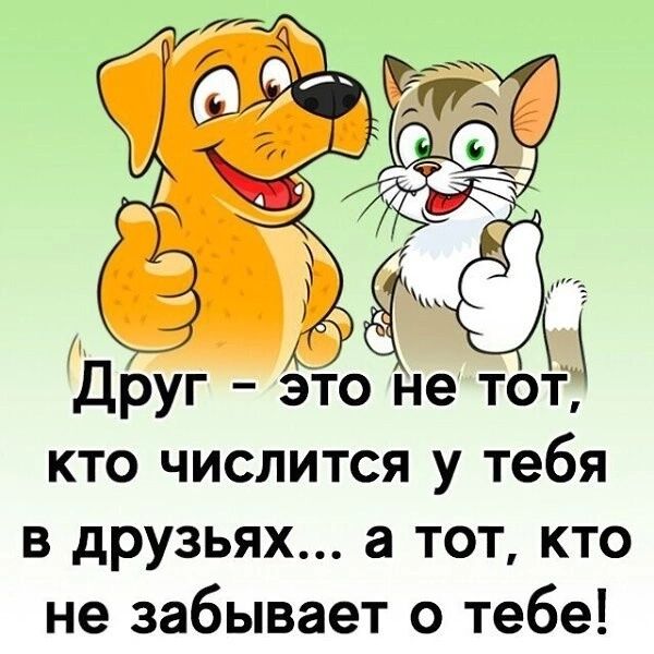 Друг Это не тот кто числится у тебя в друзьях а тот кто не забывает о тебе