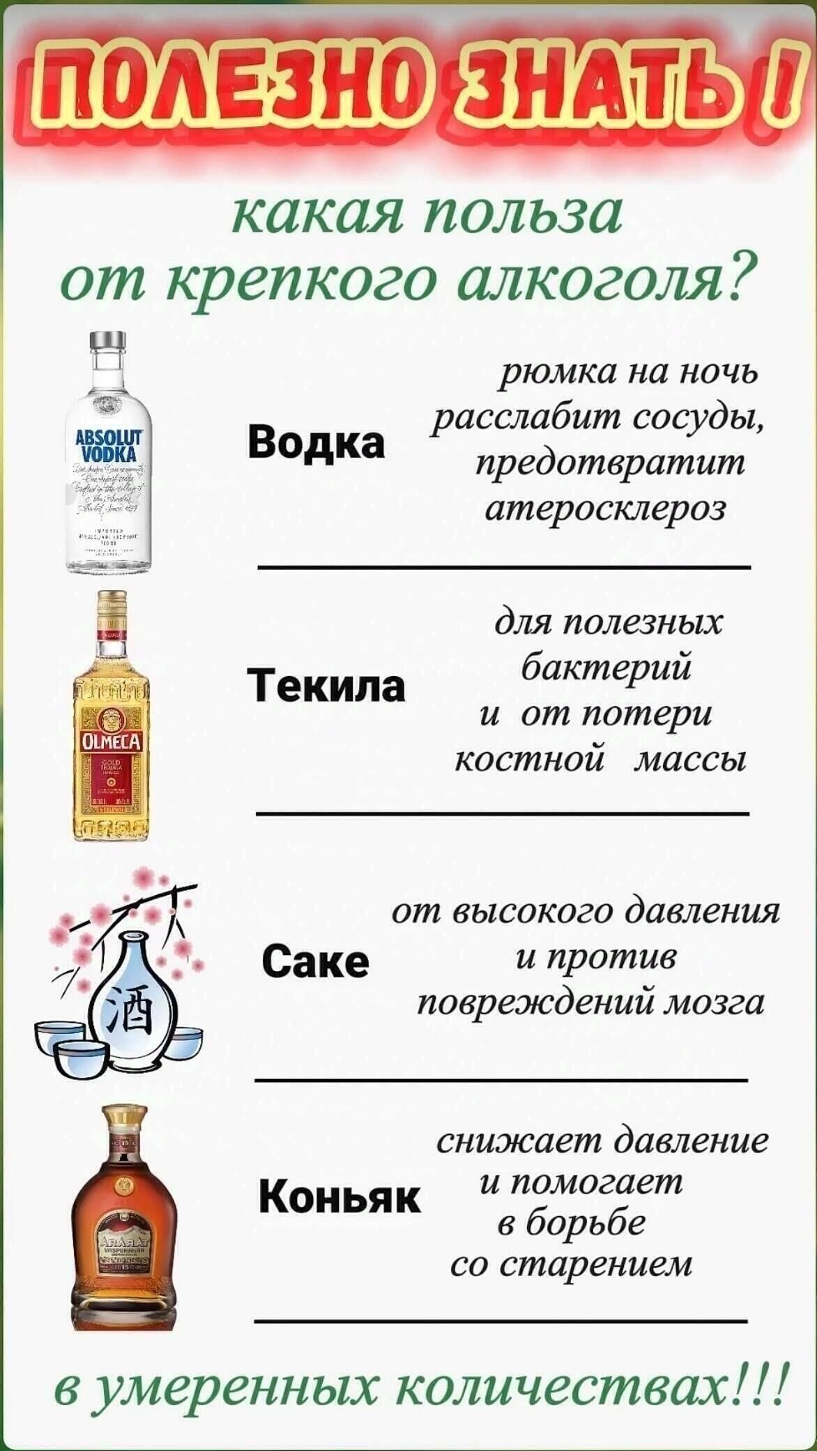 какая польза от крепкого алкоголя Н рюмка на ночь ыы расслабит сосуды к Водка предотвратит атеросклероз для полезных бактерий и от потери костной массы Текила от высокого давления Саке и против повреждений мозга снижает давление Коньяк омогает в борьбе со старением в умеренных количествах