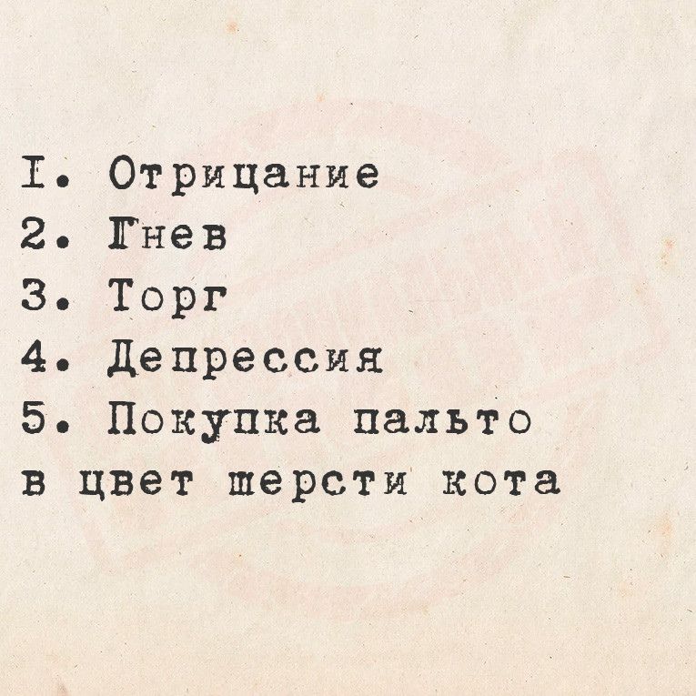 Т Отрицание 2 Гнев З Торг 4 Депрессия 5 Покупка пальто в цвет шерсти кота