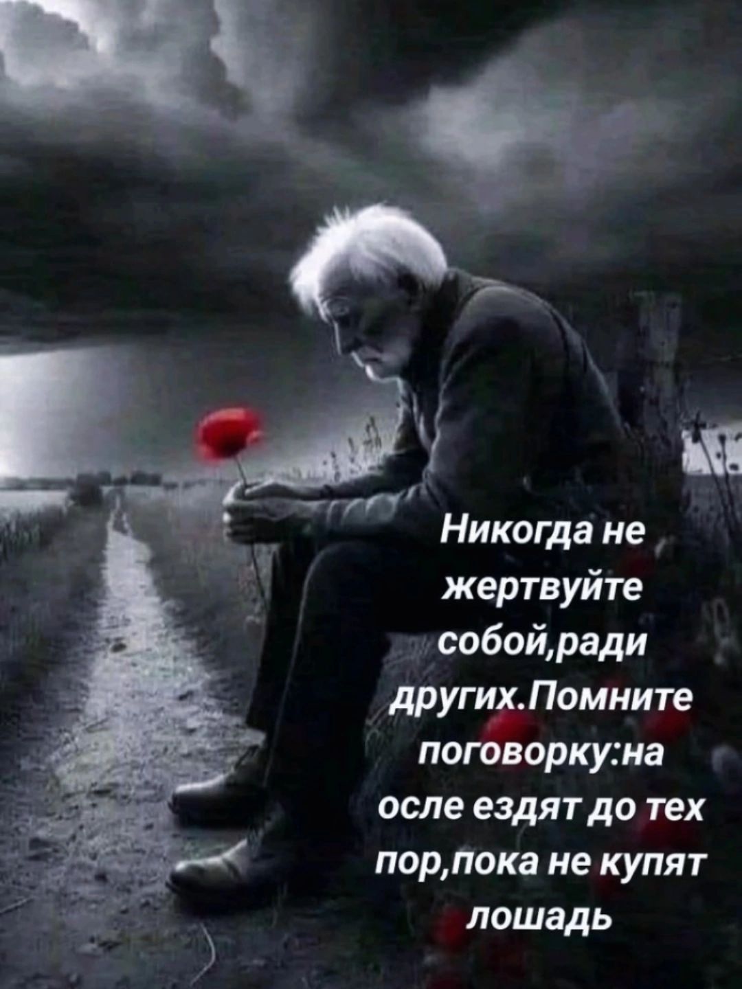 Никогда не жертвуйте собой, ради других. Помните поговорку: на осле ездят до тех пор, пока не купят лошадь.