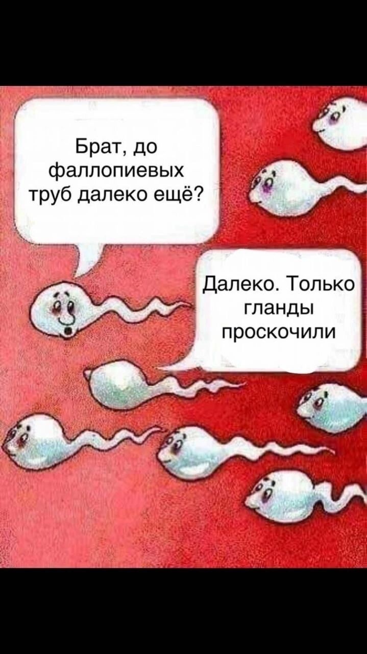 Брат, до фаллопиевых труб далеко ещё? Далеко. Только гланды проскочили.