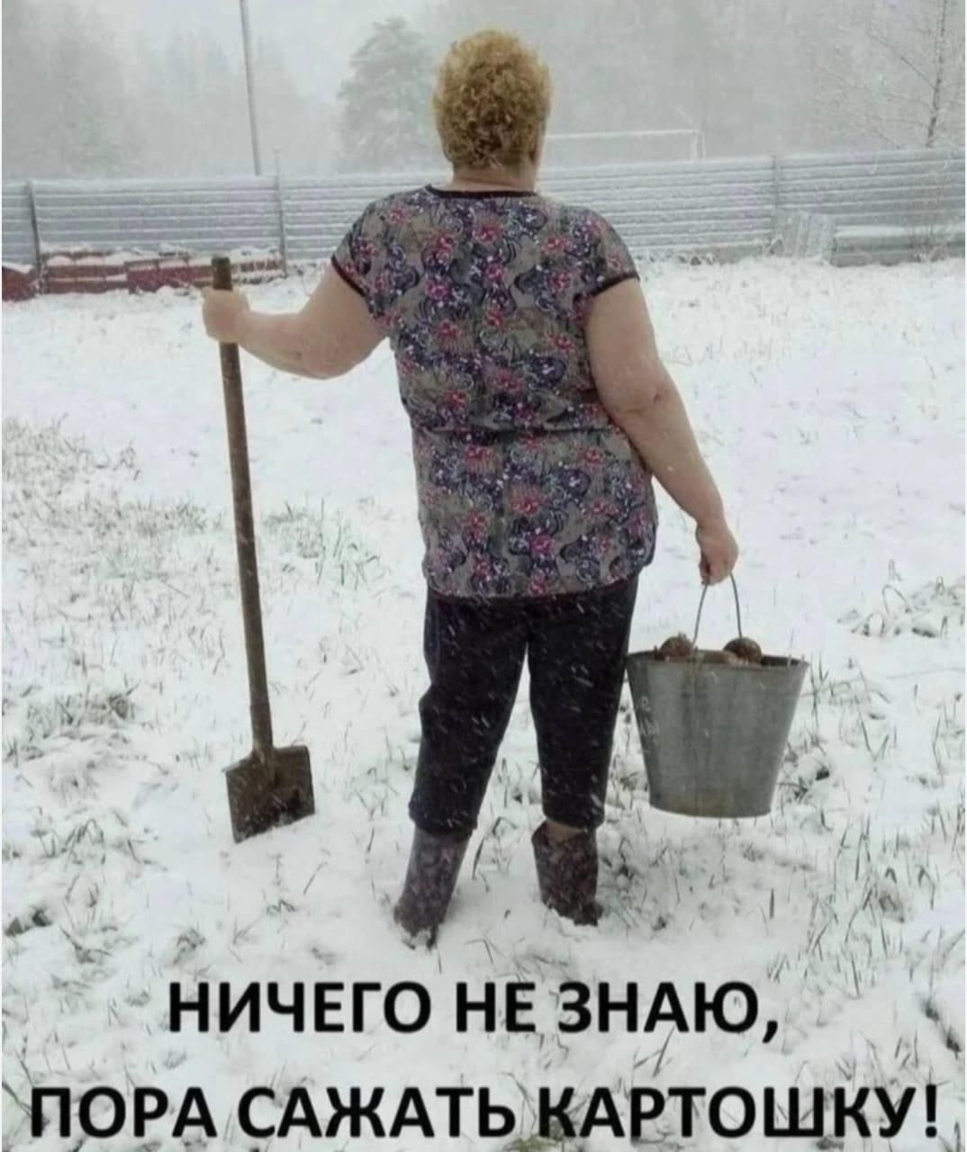 НИЧЕГО НЕ ЗНАЮ, ПОРА САЖАТЬ КАРТОШКУ!