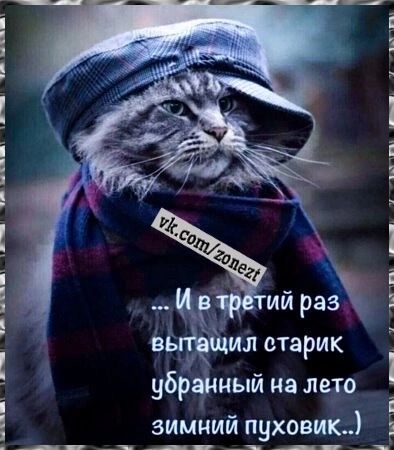 ... И в третий раз вытащил старик одетый на лето зимний пуховик..)