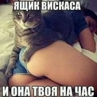 Ящик вискасa и она твоя на час