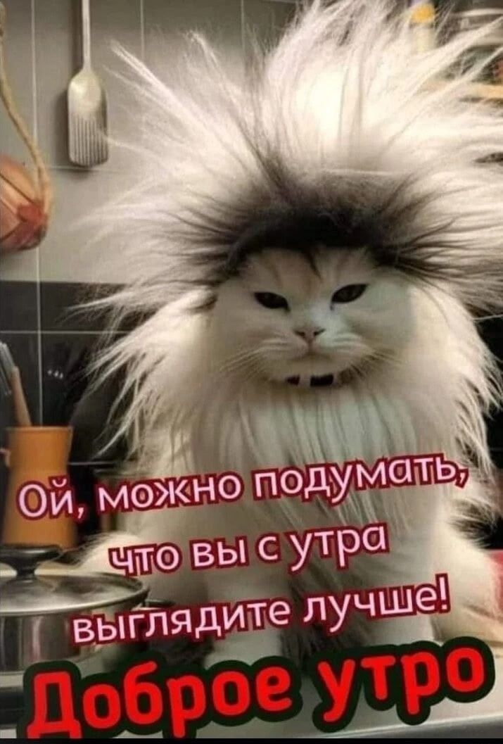 Ой, можно подумать, что вы с утра выглядите лучше! Доброе утро