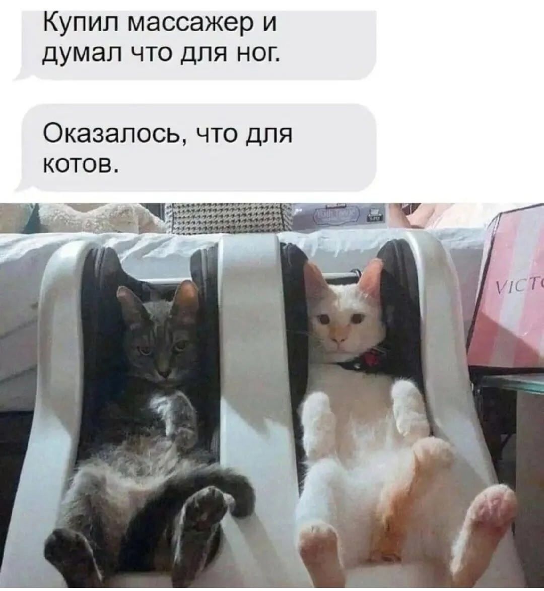 Купил массажер и думал что для ног.
Оказалось, что для котов.