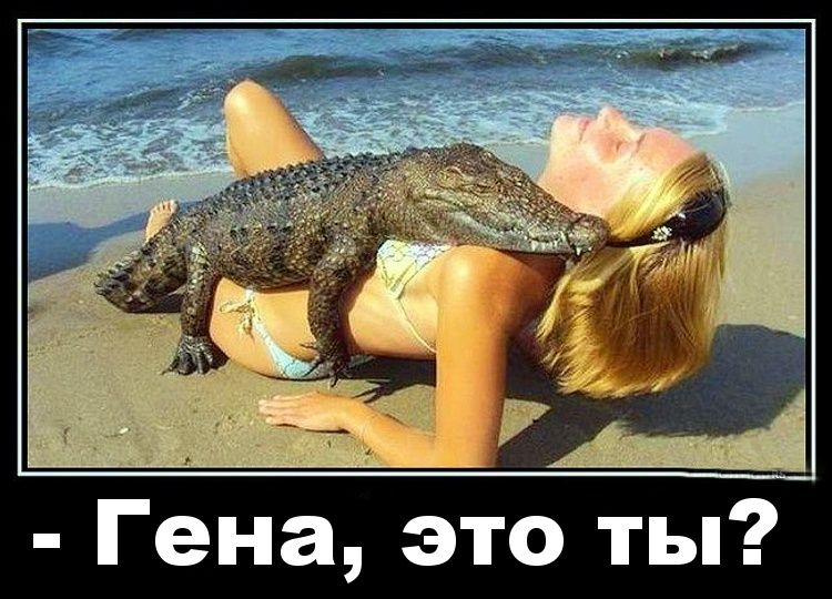 - Гена, это ты?