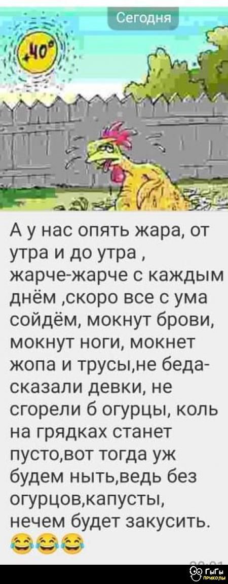 А у нас опять жара, от утра и до утра, жарче-жарче с каждым днём, скоро все с ума сойдём, мокнут брови, мокнут ноги, мокнет жопа и трусы, не беда... сказали девки, не сгорели б огурцы, коль на грядках станет пусто, вот тогда уж будем ныть, ведь без огурцов, капусты, нечем будет закусить.