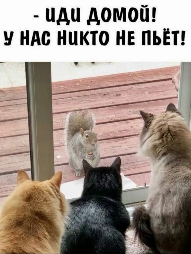 - Иди домой! У нас никто не пьёт!