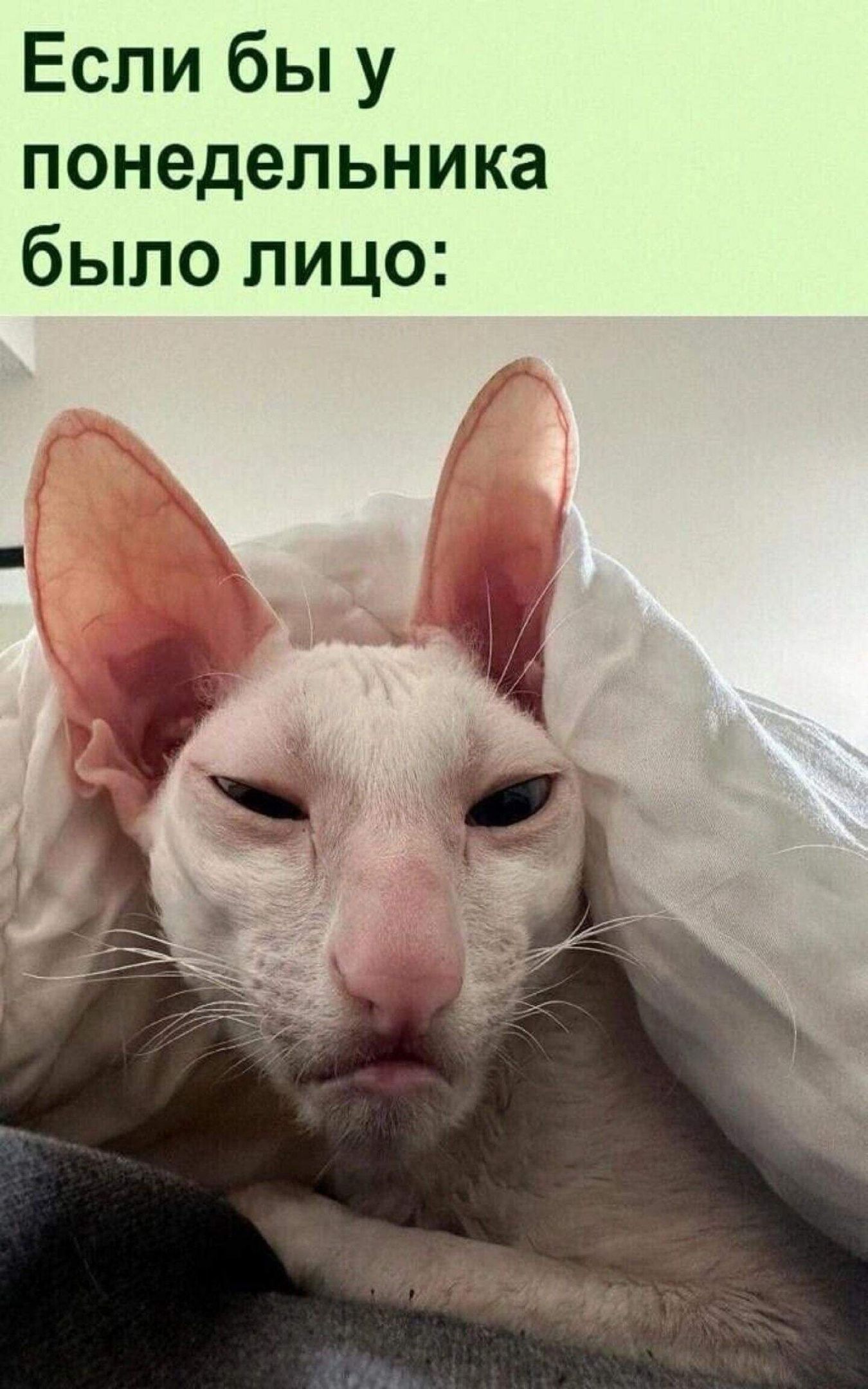 Если бы у понедельника было лицо: