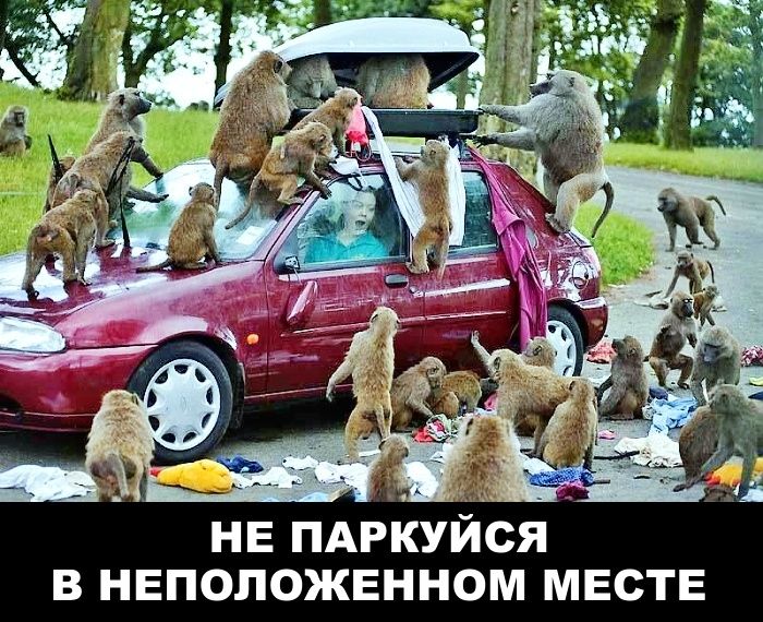 НЕ ПАРКУЙСЯ В НЕПОЛОЖЕННОМ МЕСТЕ
