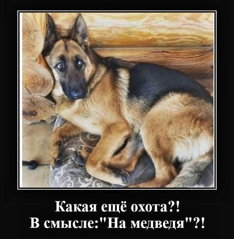 Какая ещё охота?! В смысле: 