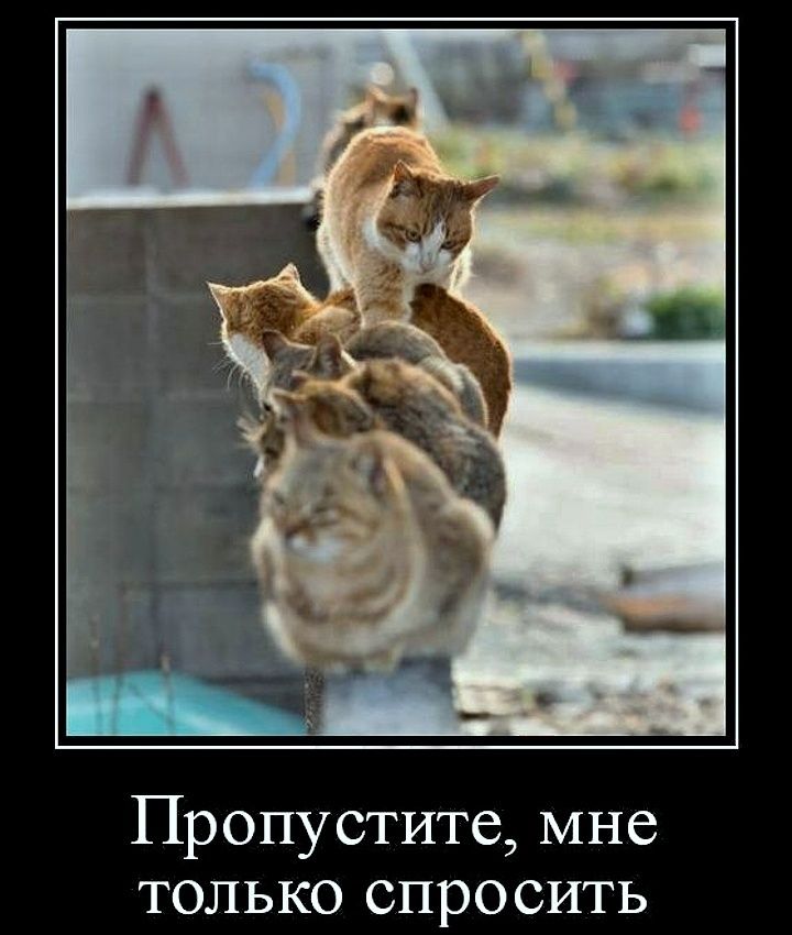 Пропустите, мне только спросить