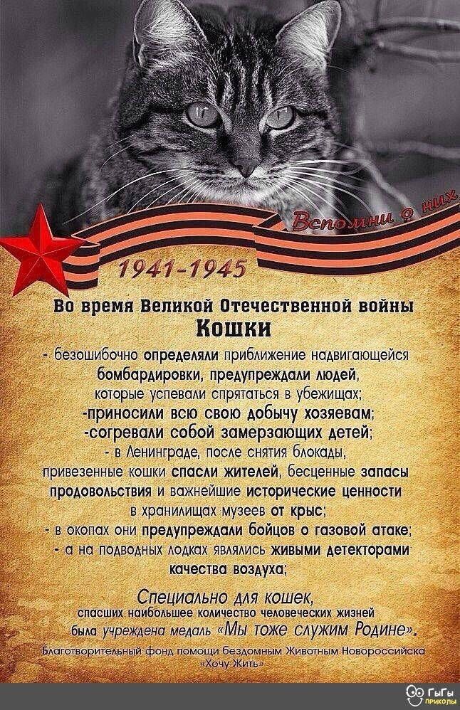 певаАи спрятаться в убежищпх всю свою добычу хозяевам Ги вики ы