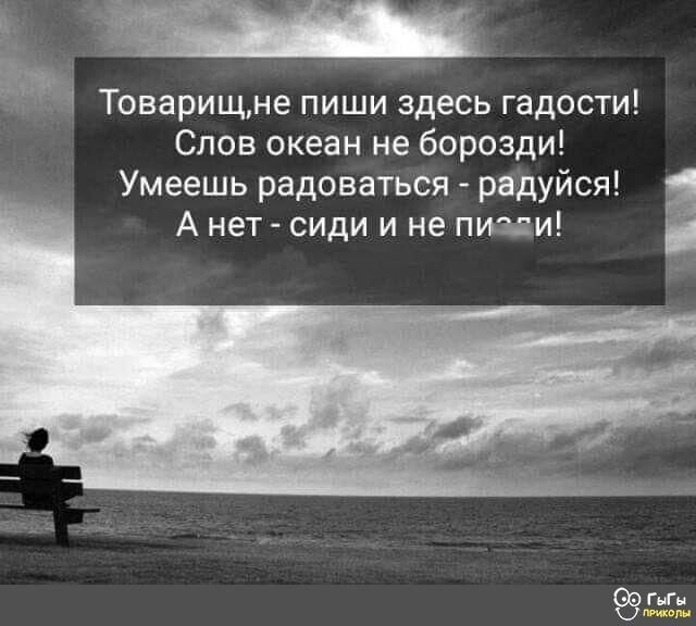 _ Товарищне пиши здесь гадости Слов океан не борозди Умеешь радоваться радуйся А нет сиди и не пики