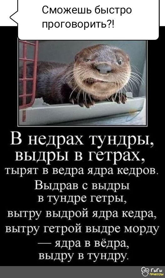 Сможешь быстро проговорить В недрах тундры ВЫДрЫ В ГСТРЗХ тырят в ведра ядра кедров Выдрав с выдры в тундре гетры вытру выдрой ядра кедра вытру гетрой выдре морду ядра в вёдра выдру в тундру 99