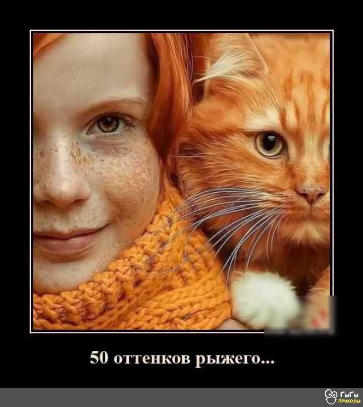 50 оттенков рыжего