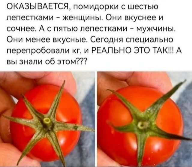 ОКАЗЫВАЕТСЯ помидорки с шестью лепестками женщины Они вкуснее и сочнее А с пятью лепестками мужчины Они менее вкусные Сегодня специально перепробовали кг и РЕАЛЬНО ЭТО ТАК А вы знали об этом