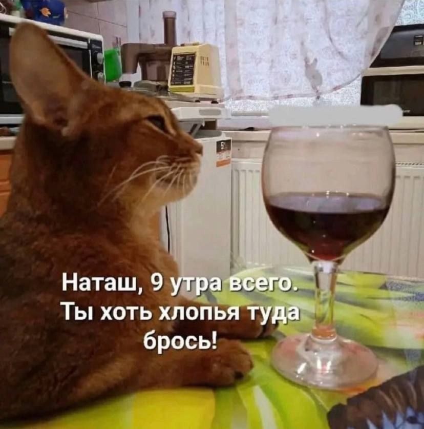 Ты хоть хлоПЬЯ брось й