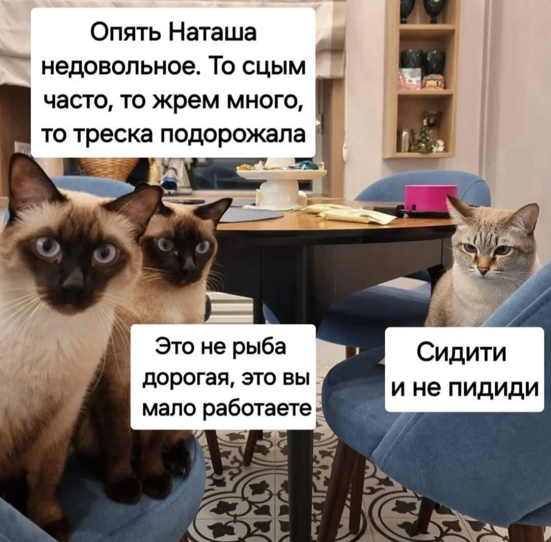 Опять Наташа недовольное То сцым часто то жрем много то треска подорожала Это не рыба Сидити дорогая это вы ине пидиди мало работаете ы