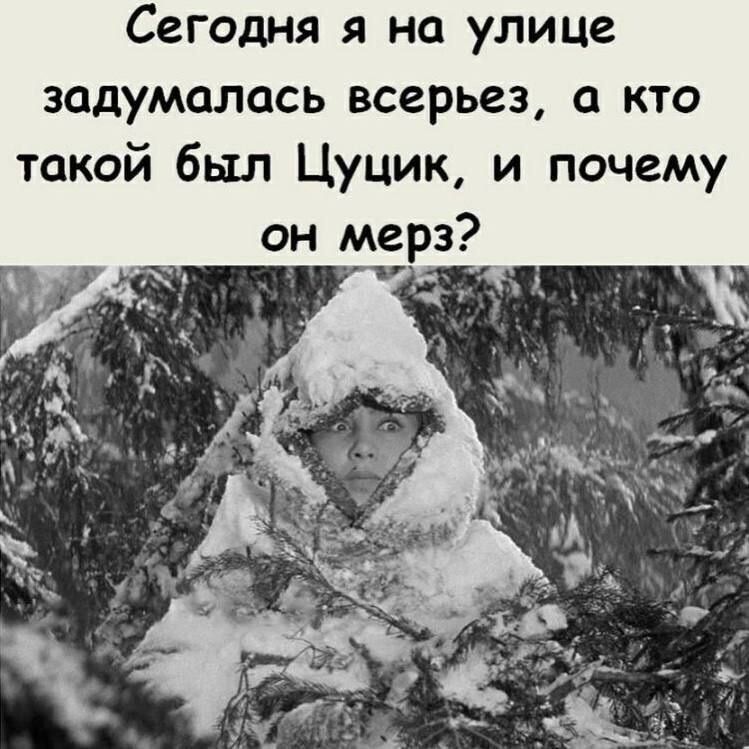 Сегодня я на улице задумалась всерьез а кто такой был Цуцик и почему