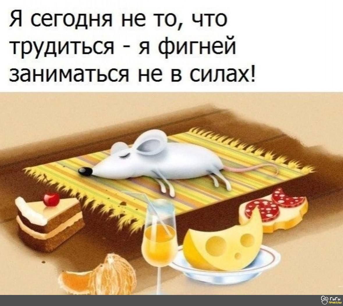 Я сегодня не то что трудиться я фигней заниматься не в силах