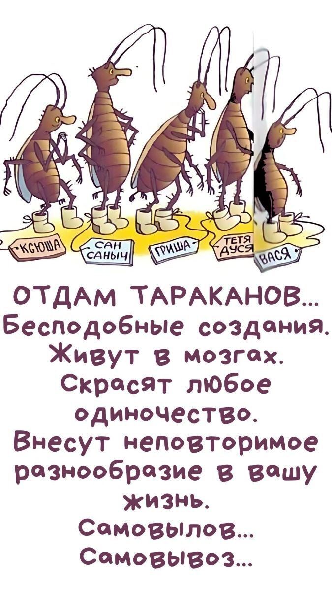 ОТдАм ТАРАКАНОВ Бесподобные создания Живут в мозгох Скросят любое одиночество Внесут неповторимое рознооброзие в вошу жизнь Сомовылов Самовывоз