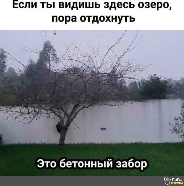 Если ты видишь здесь озеро пора отдохнуть Это бетонный забор