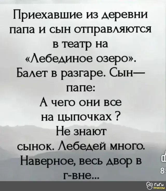 Приехавшие из деревни папа и сын отправляются в театр на Лебединое озеро Балет в разгаре Сын папе А чего они все на цыпочках Не знают сынок Лебедей много Наверное весь двор в