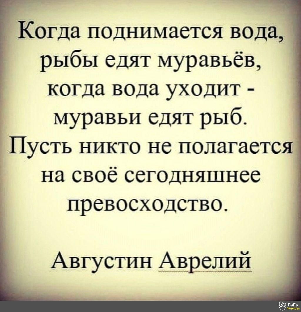 Когда поднимается вода рыбы едят муравьёв когда вода уходит муравьи едят рыб Пусть никто не полагаетс на своё сегодняшнее превосходство Августин Аврелий