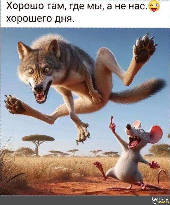 Хорошо там где мы а не нас хорошего дня